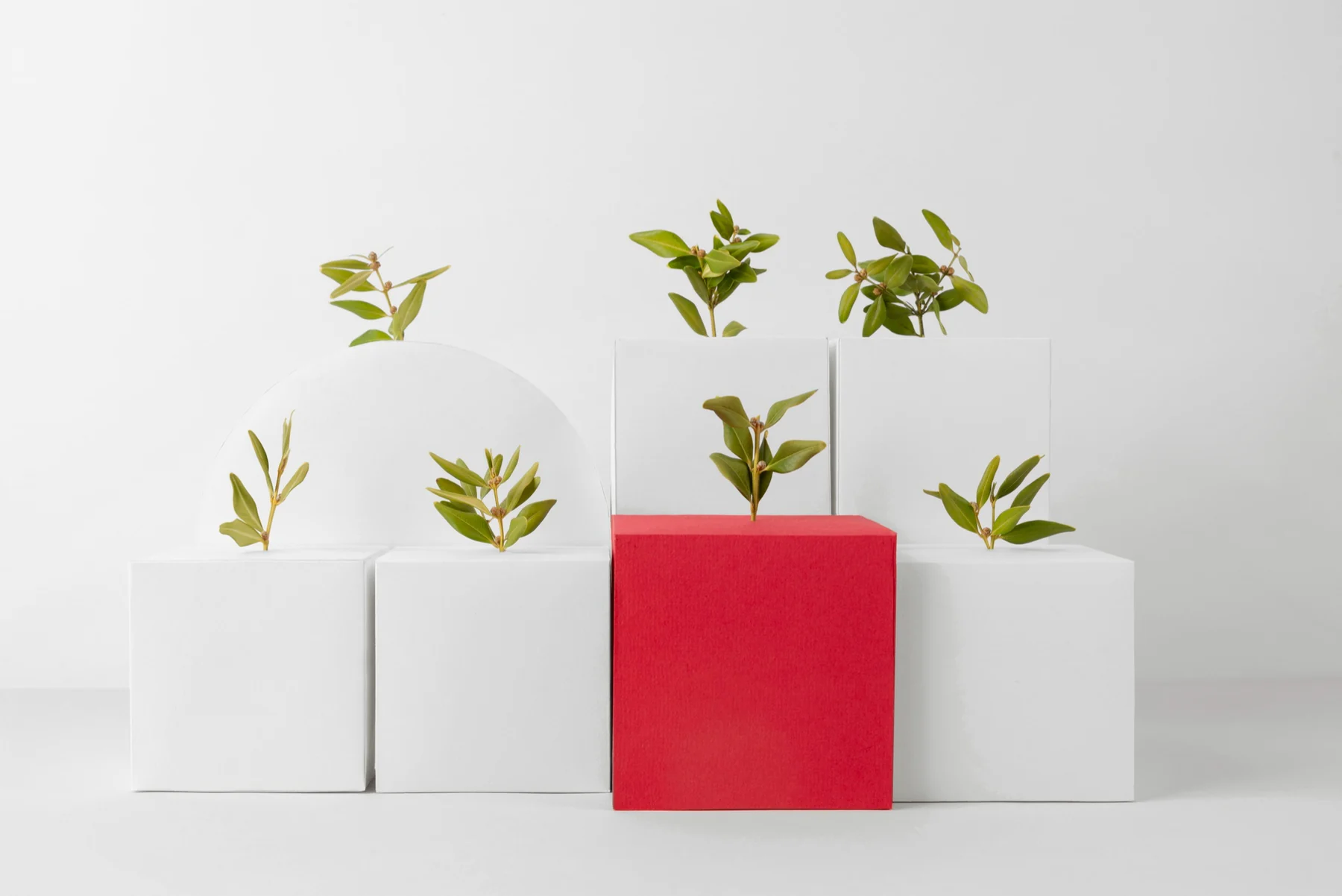 Living plants emerging from structured blocks to represent cultivated, sustainable growth